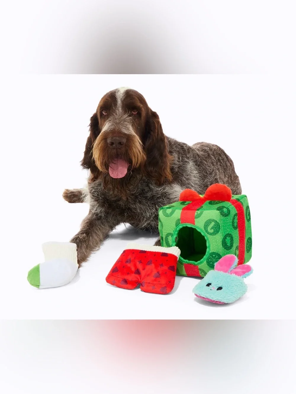 Bark Box Holly Day’s Presents XL Multi-part toy NEW just released!!